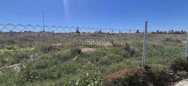 Foto 81dfad16-e561-4f1d-90ba-116300a59f93. Terreno residenziale in El Travaló - Martínez Valero Elche / Elx