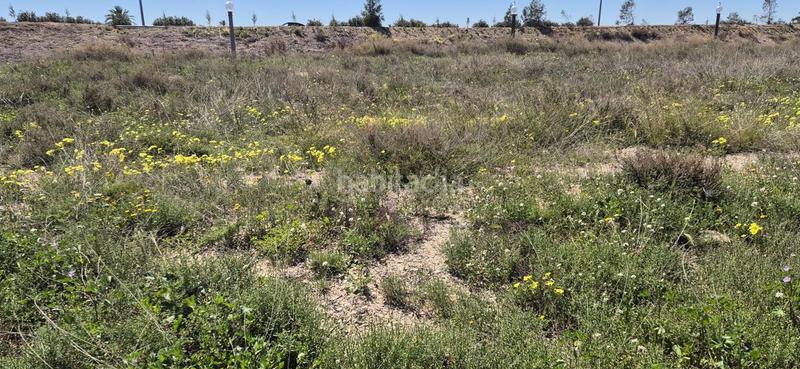 Foto 89eaf7fd-d8d7-4d7d-a63e-3d3af1280327. Terreno residenziale in El Travaló - Martínez Valero Elche / Elx