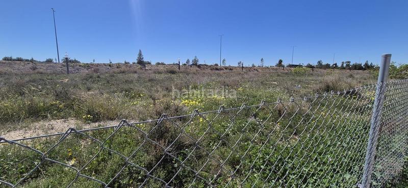 Foto e1692a6a-f71a-49ab-b45c-1a583d2c34c7. Terreno residenziale in El Travaló - Martínez Valero Elche / Elx