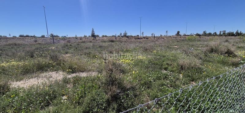 Foto 5ff5602b-020e-4db1-abf0-d1962951886c. Terrain résidentiel dans El Travaló - Martínez Valero Elche / Elx