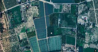 Finca rústica  Pol 1. Parcela rústica con limoneros en producción en algorfa alicante