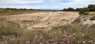 Residential Plot in Valverde. Se vende terreno rústico en partida de valverde