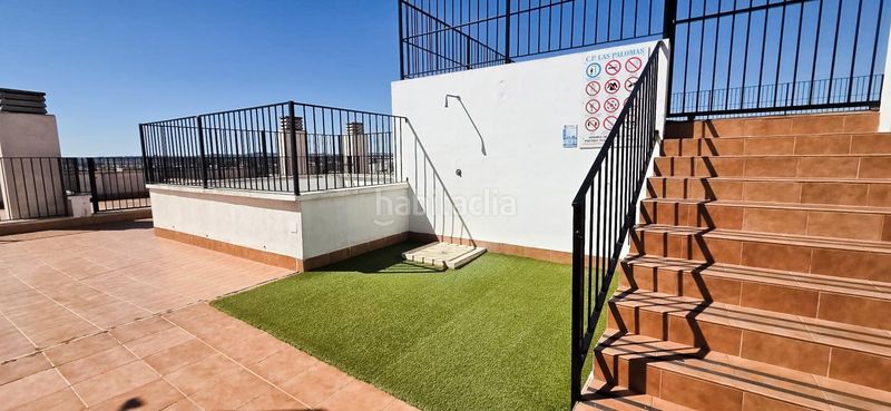Foto c69761fb-0752-41e0-af95-06507d2c0574. Pis amb piscina a Almoradí