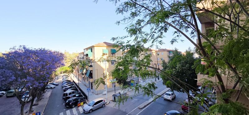 Foto 661f4b63-8077-4c31-b207-278387bb5315. Pis a Camí dels Magros - Casablanca Elche / Elx