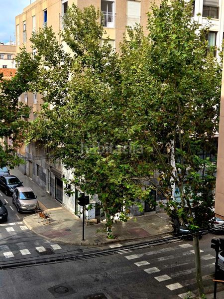 Foto 77982913-5839-4919-adf8-65d17f8507c7. Pis a Reina Victoria - Miguel Hernández Elche / Elx