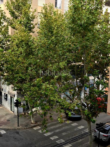 Foto 999324fb-4785-44b5-ae05-879716a293cd. Pis a Reina Victoria - Miguel Hernández Elche / Elx