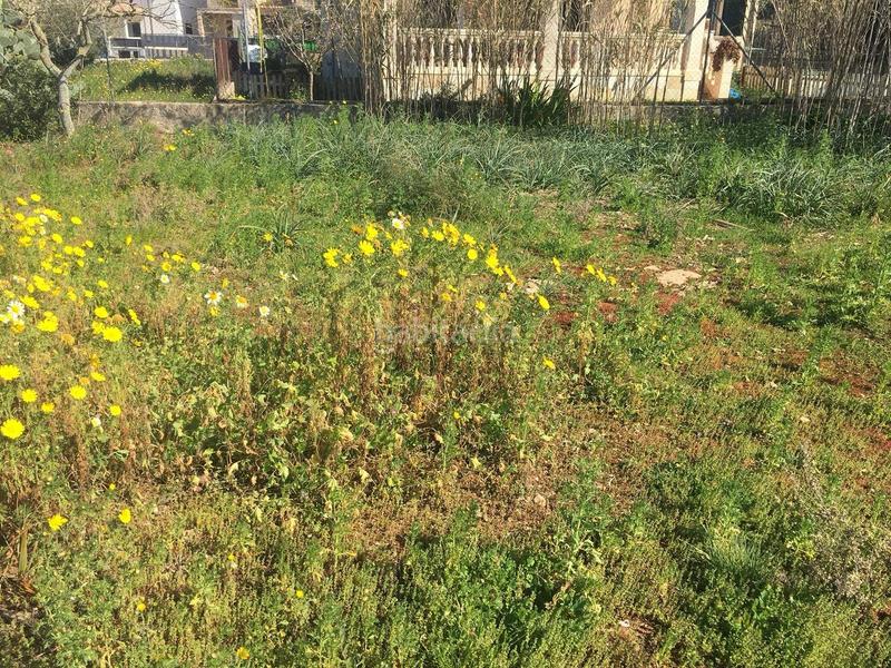 Foto 01929299-e22f-45ae-b0f6-7081c2536dc4. Terreny residencial a Pòrtol Marratxí