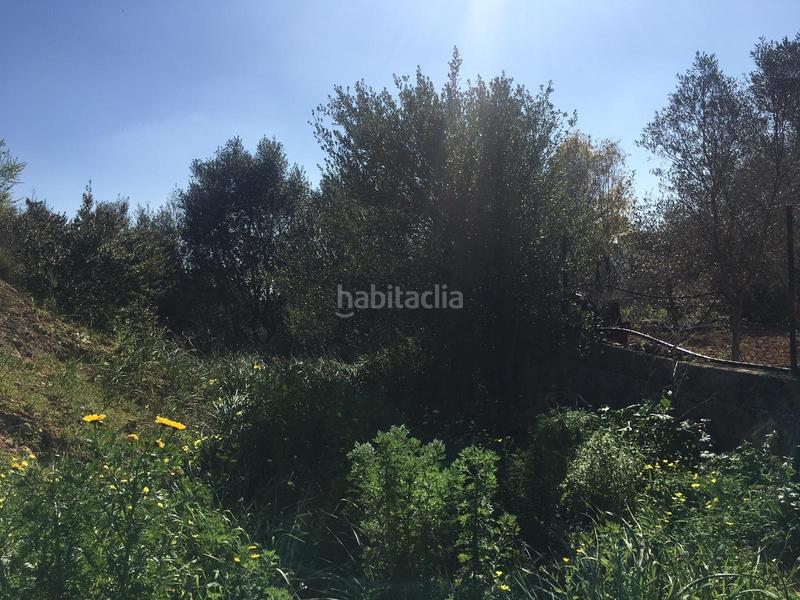 Foto 3b2b7961-6bb6-4418-93bd-ae2c9f49f86d. Terreny residencial a Pòrtol Marratxí