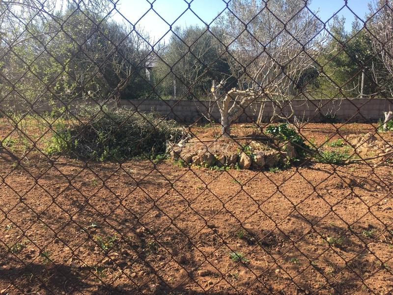 Foto 7575d980-47ea-47cc-ad2d-c2fbe0bc7790. Terreny residencial a Pòrtol Marratxí