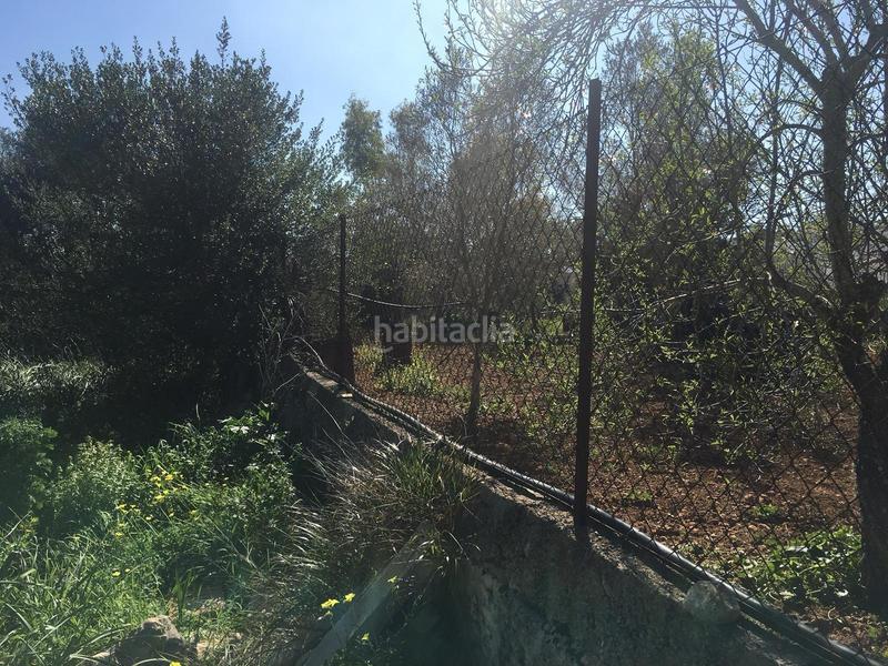 Foto 7fea70cb-9e03-4785-add7-cd59c7e3942e. Terreny residencial a Pòrtol Marratxí