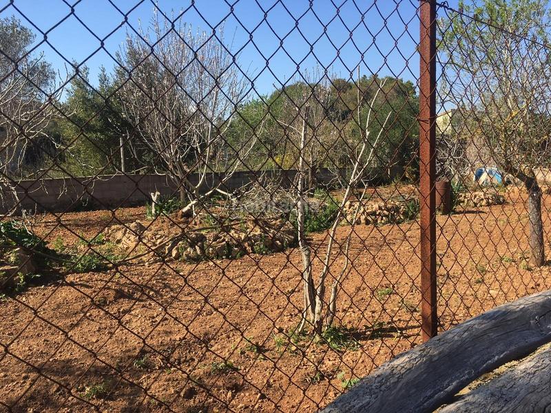 Foto 909d21da-5016-4d6f-b270-7a5b1e126a12. Terreny residencial a Pòrtol Marratxí