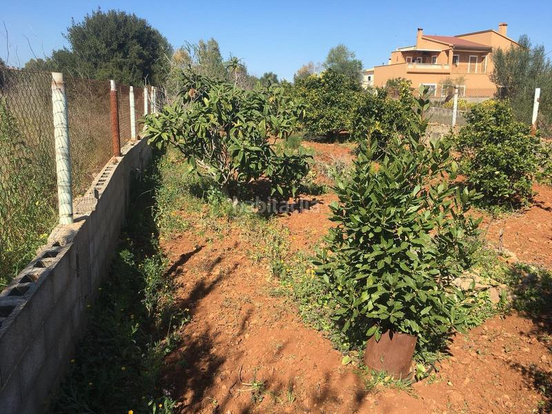 Foto af74bcfc-0185-4aac-8d43-ba4070c7f1f1. Terreny residencial a Pòrtol Marratxí