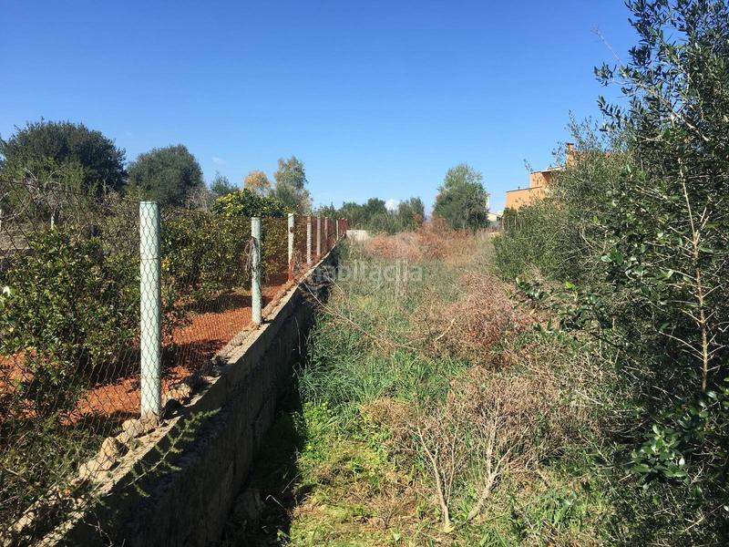 Foto b49fa63b-e462-4dc1-898f-492852328f89. Terreny residencial a Pòrtol Marratxí