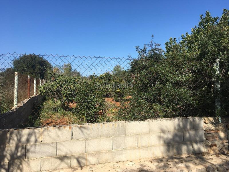 Foto d5a81edf-ed59-4d78-9011-5d2be21f6abb. Terreny residencial a Pòrtol Marratxí