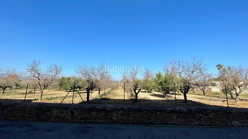 Foto 96a1d551-a987-4d65-856d-343726d43c3d. Masia amb calefacció aparcament a Sa Indioteria Rural Palma de Mallorca