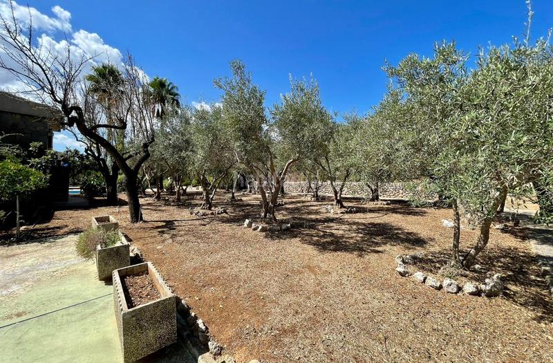 Foto 619e9642-f2c1-41f1-ac0d-7b94e7aea866. Casale con riscaldamento parcheggio piscina in Bunyola