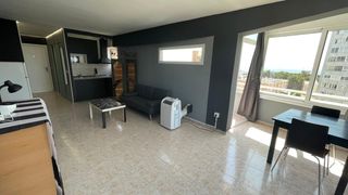 Location Studio à Cala Major. Estudio reformado en alquiler con cocina, baño y terraza en cala