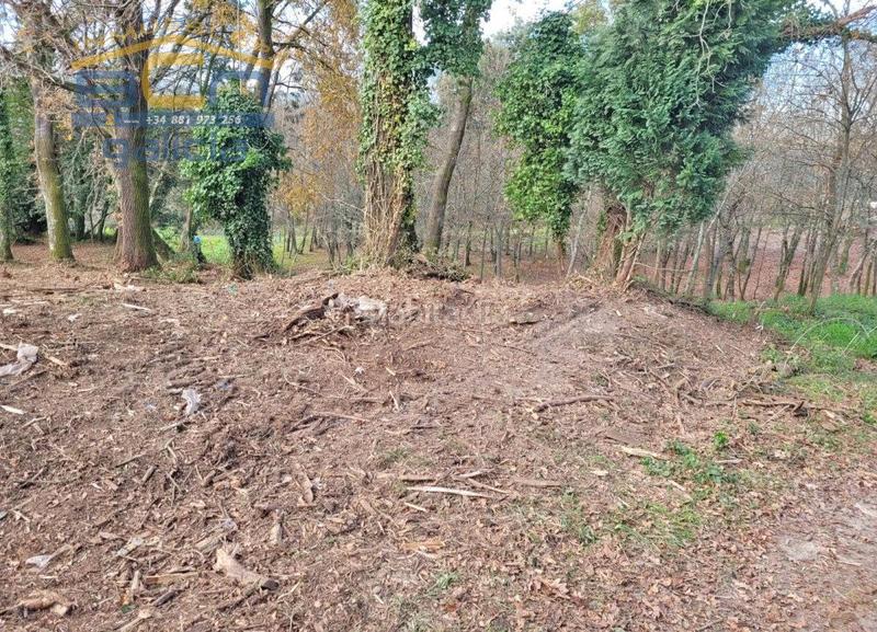 Foto 74bc1941-c35c-4050-a3ce-035acdd4e519. Residential plot in mourigade in Bugallido Ames