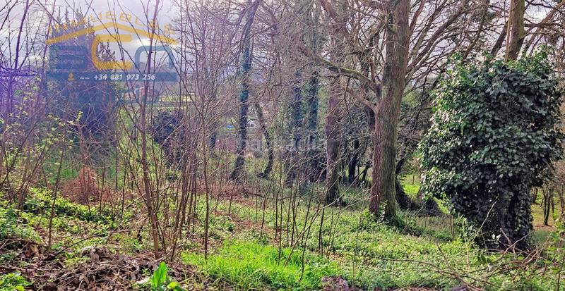 Foto 7ada5d42-54e8-49ca-abb6-1446b8df785e. Residential plot in mourigade in Bugallido Ames