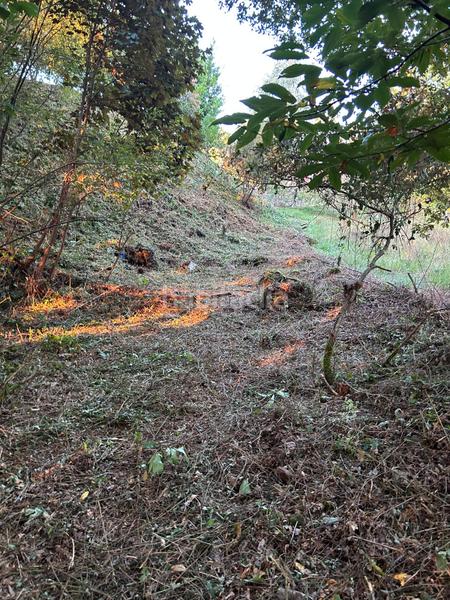 Foto b4f542fe-17de-45bb-9999-ca60423772d0. Terrain résidentiel dans Brión