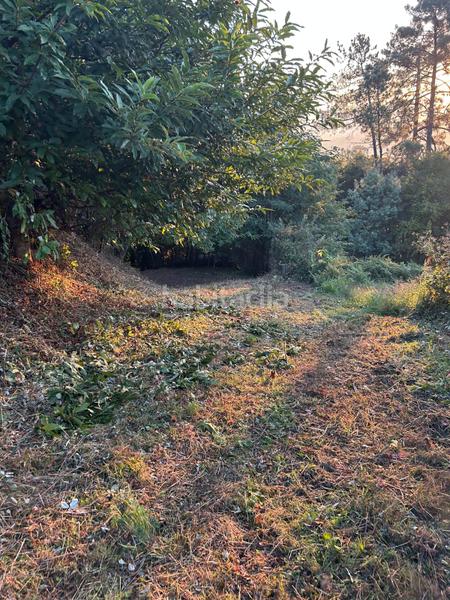 Foto ce5d2d88-74ae-45e7-9137-e9f81a6e1aeb. Terrain résidentiel dans Brión