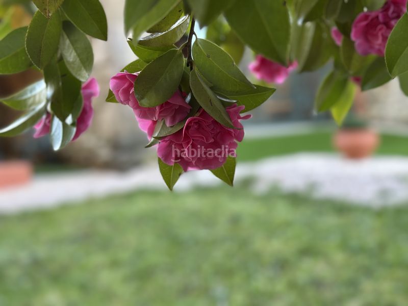 Foto 63b75371-8a18-4f01-81e9-c88974c52487. Masia amb calefacció aparcament a Teo