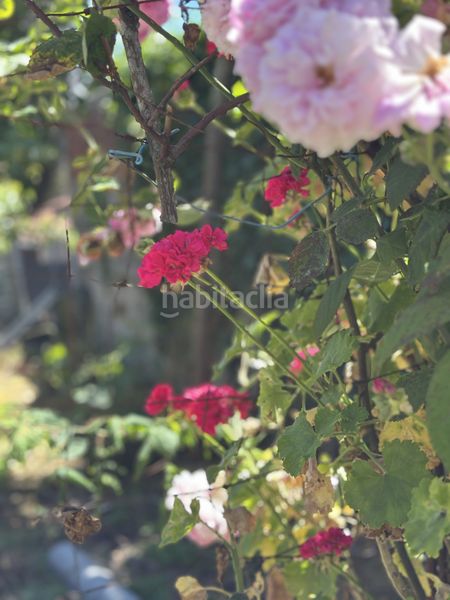 Foto 4b999ea8-7964-4191-bf96-65b3f0a22f23. Casa amb aparcament a Baña (A)