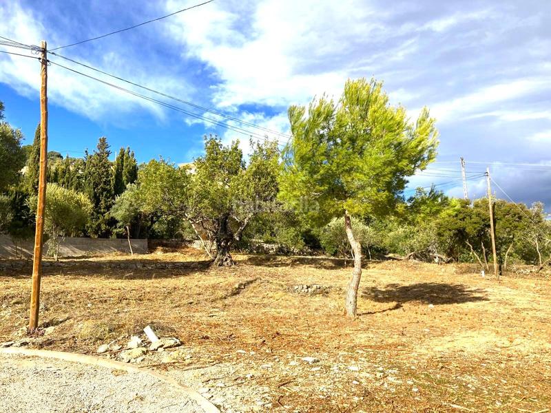 Foto 0cd2fb0e-d5af-4834-8048-f0bbdbb3e14c. Terreno residenziale in carrer de les oliveres 7 in Vinaròs