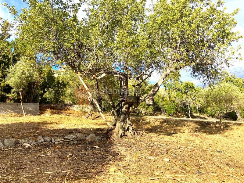 Foto 9a4ca20a-9b5f-421d-a052-2597faf1d458. Terreno residenziale in carrer de les oliveres 7 in Vinaròs