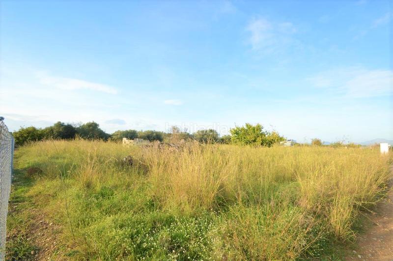 Foto 04df46c1-4db1-46d8-b81e-7a8850b7e629. Rural plot in Vistabella Vinaròs