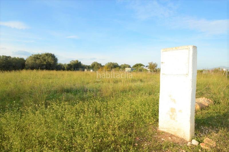 Foto 08b7c393-50eb-4dac-a4c2-3bcaa3033615. Rural plot in Vistabella Vinaròs