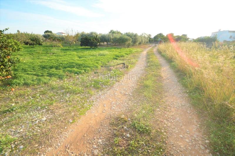Foto 435fb2f6-6baa-4033-856b-243e8bb894bc. Rural plot in Vistabella Vinaròs