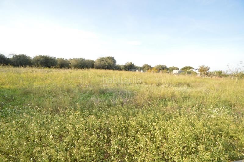 Foto 4479d025-39a0-41fb-b547-333d7a4d31cc. Rural plot in Vistabella Vinaròs