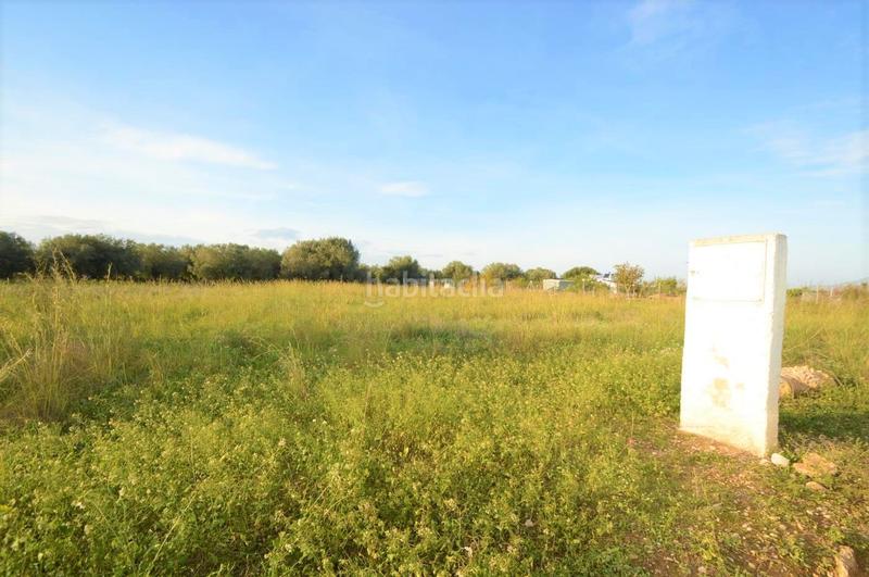 Foto 4bda934a-8873-49b0-922e-9131a6c29735. Rural plot in Vistabella Vinaròs