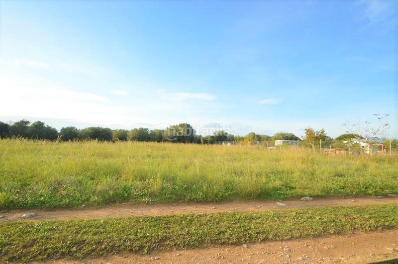 Foto 4f3e7ebe-58a3-4d22-b694-0718075efab2. Rural plot in Vistabella Vinaròs