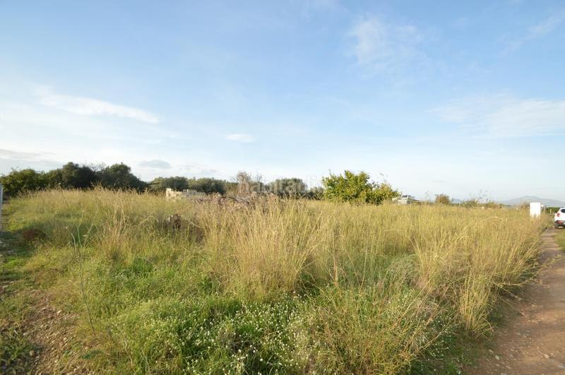 Foto 60bf5aa7-64e6-4374-98b3-10f4b01d1e5f. Rural plot in Vistabella Vinaròs