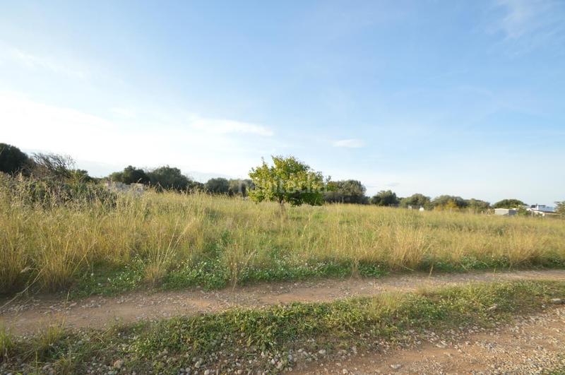 Foto 80f9615e-1e1c-400b-a586-09536ac15f69. Rural plot in Vistabella Vinaròs