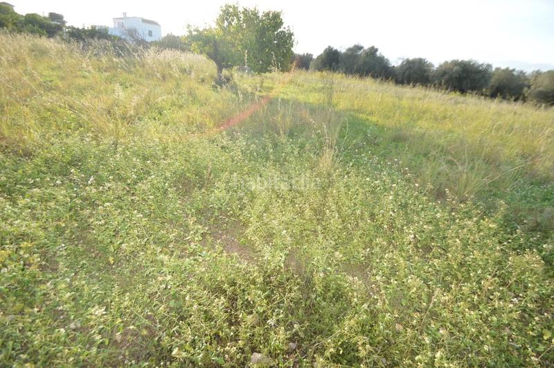 Foto 948a2c9e-7424-48ce-9942-cbf04b404688. Rural plot in Vistabella Vinaròs