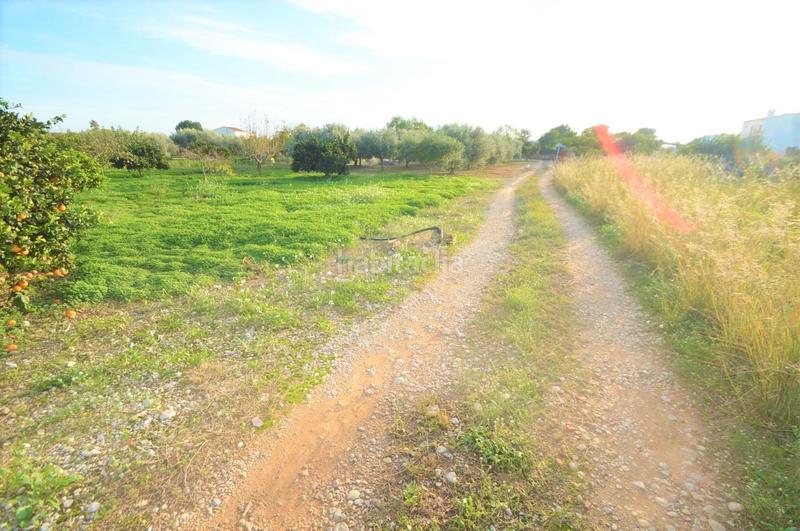 Foto 94de86d6-2e61-47ca-8439-71bf41ad4875. Rural plot in Vistabella Vinaròs