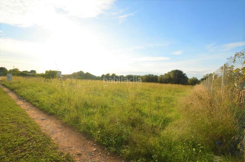 Foto bf5bea8c-1521-4057-ac90-0ebeb03b73b8. Rural plot in Vistabella Vinaròs