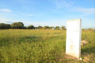 Landgut in Vistabella. En venta finca de regadío, en la partida vista bella de vinaròs