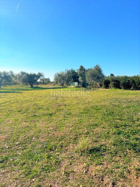 Foto 2b4d69aa-edb5-4e74-946d-0304e3581bfe. Fondo rustico in Partidas de Interior - Zona Rústica Vinaròs