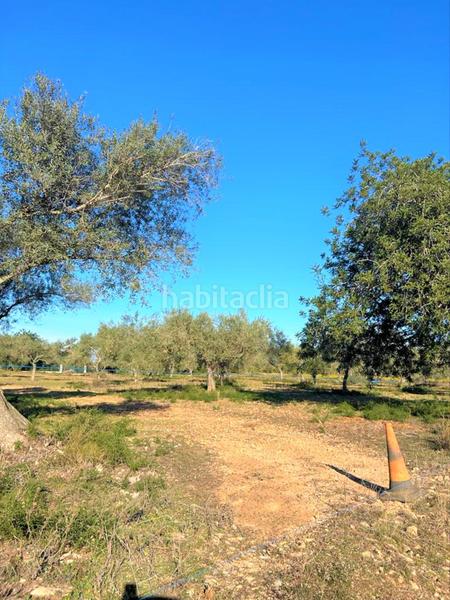 Foto 360d7152-f95b-4ed4-8471-acaa2760042f. Fondo rustico in Partidas de Interior - Zona Rústica Vinaròs