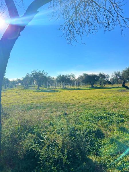 Foto 43fcd003-7f51-40a9-9c49-43e4964736bf. Fondo rustico in Partidas de Interior - Zona Rústica Vinaròs