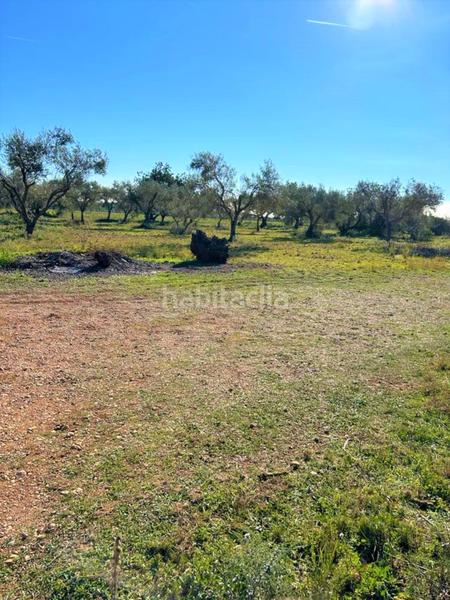 Foto 6a0edb03-4a61-4f7f-a877-c4557c08e051. Fondo rustico in Partidas de Interior - Zona Rústica Vinaròs
