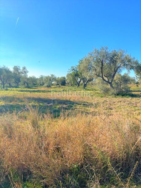 Foto 9072aa62-dda8-4b17-8413-d9c365ec8765. Fondo rustico in Partidas de Interior - Zona Rústica Vinaròs