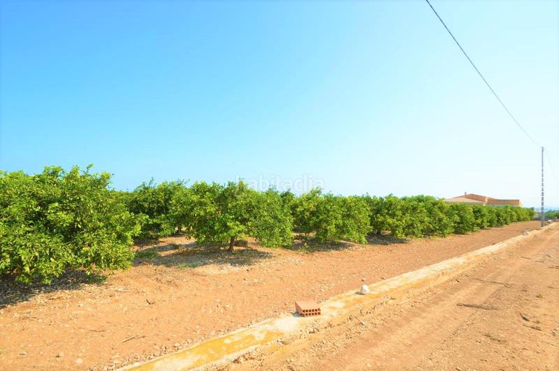 Foto 0c383cdc-cb13-4568-87a0-b84100dde994. Xalet a camí de l'ermita 41 a closa de Vinaròs - ermita Vinaròs
