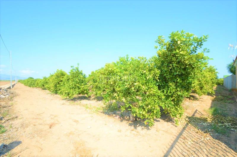 Foto 2cfd40e4-e875-42ea-9390-91fa067f0d56. Xalet a camí de l'ermita 41 a closa de Vinaròs - ermita Vinaròs