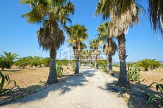 Mas  Camí d'alcanar. Finca en venta en vinaròs con chalet y piscina.