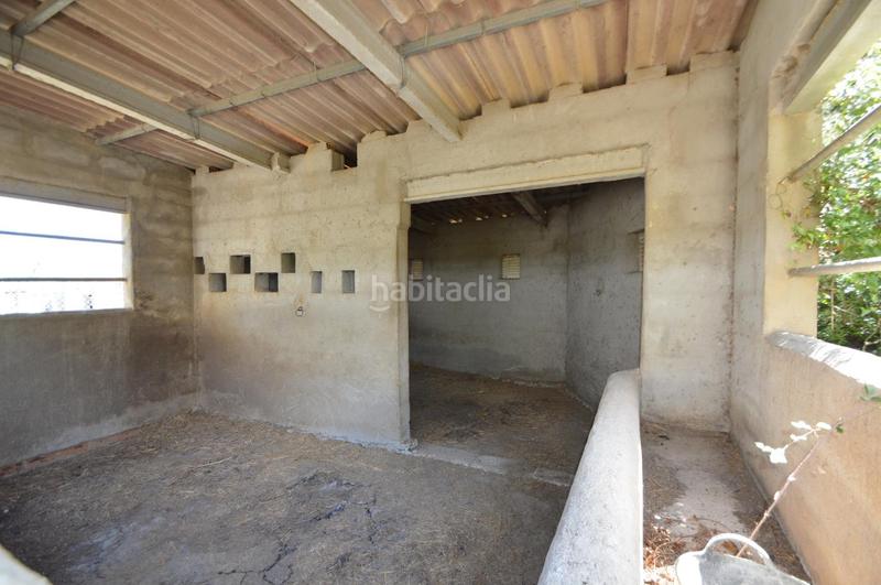 Foto 0e4ee43f-28a3-4d3f-8231-9ef0af78c32a. Finca rústica en venta, finca rústica en alcalá de xivert (castellón) en Alcossebre